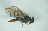  ( - CCDB-29865-G01)  @12 [ ] creative commons  non-commercial only (2017) Servicio Nacional de Sanidad Agraria del Peru Servicio Nacional de Sanidad Agraria del Peru