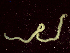  ( - KND2Prion3_2)  @11 [ ] Copyright (c)  Carol Simon Stellenbosch University