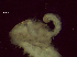  ( - KND2Prion3)  @11 [ ] Copyright (c)  Carol Simon Stellenbosch University
