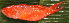  ( - 20131217-4.2)  @11 [ ] CreativeCommons  Attribution Non-Commercial Share-Alike (2013) Philippe Borsa Institut de recherche pour le développement