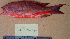  ( - 20131217-H.2)  @13 [ ] CreativeCommons  Attribution Non-Commercial Share-Alike (2013) Philippe Borsa Institut de recherche pour le développement