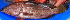  ( - 20150502-29.2)  @11 [ ] CreativeCommons  Attribution Non-Commercial Share-Alike (2015) Philippe Borsa Institut de recherche pour le développement