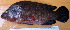  ( - 20150430-10.2)  @11 [ ] CreativeCommons  Attribution Non-Commercial Share-Alike (2015) Philippe Borsa Institut de recherche pour le développement