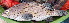  ( - 20150508-18.2)  @11 [ ] CreativeCommons  Attribution Non-Commercial Share-Alike (2015) Philippe Borsa Institut de recherche pour le développement