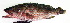  ( - 20150508-3.2)  @11 [ ] CreativeCommons  Attribution Non-Commercial Share-Alike (2015) Philippe Borsa Institut de recherche pour le développement