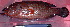  ( - 20071124-9.2)  @11 [ ] CreativeCommons  Attribution Non-Commercial Share-Alike (2007) Philippe Borsa Institut de recherche pour le développement