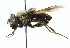  ( - JSS19210)  @13 [ ] CreativeCommons - Attribution (2011) CNC/CBG Photography Group Centre for Biodiversity Genomics
