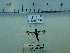  ( - FLA226)  @11 [ ] CreativeCommons  Attribution Non-Commercial Share-Alike (2023) Carlos Lopez Vaamonde Institut National de la Recherche Agronomique, Zoologie Forestiere
