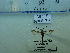  ( - FLA228)  @11 [ ] CreativeCommons  Attribution Non-Commercial Share-Alike (2023) Carlos Lopez Vaamonde Institut National de la Recherche Agronomique, Zoologie Forestiere