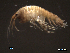  ( - SFAM6-007)  @11 [ ] CreativeCommons - Attribution Non-Commercial Share-Alike  creativecommons Unspecified