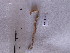 ( - SFP16 - 001)  @12 [ ] Unspecified (default): All Rights Reserved  Unspecified Unspecified