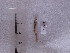  ( - SFP16 - 002)  @12 [ ] Unspecified (default): All Rights Reserved  Unspecified Unspecified