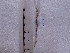  ( - SFP17 - 001)  @12 [ ] Unspecified (default): All Rights Reserved  Unspecified Unspecified