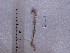  ( - SFP17 - 003)  @12 [ ] Unspecified (default): All Rights Reserved  Unspecified Unspecified