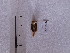  ( - SFP18 - 002)  @12 [ ] Unspecified (default): All Rights Reserved  Unspecified Unspecified