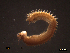  ( - SFP20 - 002)  @13 [ ] Unspecified (default): All Rights Reserved  Unspecified Unspecified