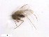  ( - WRBU-SF2011.023)  @13 [ ] CreativeCommons - Attribution (2012) CBG Photography Group Centre for Biodiversity Genomics