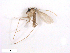  ( - WRBU-SF2011.026)  @13 [ ] CreativeCommons - Attribution (2012) CBG Photography Group Centre for Biodiversity Genomics