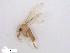  ( - WRBU-SF2011.032)  @13 [ ] CreativeCommons - Attribution (2012) CBG Photography Group Centre for Biodiversity Genomics