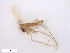  ( - WRBU-SF2011.034)  @12 [ ] CreativeCommons - Attribution (2012) CBG Photography Group Centre for Biodiversity Genomics