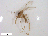  ( - WRBU-SF2011.041)  @13 [ ] CreativeCommons - Attribution (2012) CBG Photography Group Centre for Biodiversity Genomics