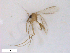 ( - WRBU-SF2011.042)  @12 [ ] CreativeCommons - Attribution (2012) CBG Photography Group Centre for Biodiversity Genomics