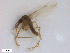  ( - WRBU-SF2011.043)  @13 [ ] CreativeCommons - Attribution (2012) CBG Photography Group Centre for Biodiversity Genomics