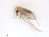  ( - WRBU-SF2011.053)  @12 [ ] CreativeCommons - Attribution (2012) CBG Photography Group Centre for Biodiversity Genomics