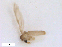 ( - WRBU-SF2011.068)  @12 [ ] CreativeCommons - Attribution (2012) CBG Photography Group Centre for Biodiversity Genomics