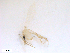  ( - WRBU-SF2011.083)  @12 [ ] CreativeCommons - Attribution (2012) CBG Photography Group Centre for Biodiversity Genomics