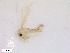  ( - WRBU-SF2011.084)  @12 [ ] CreativeCommons - Attribution (2012) CBG Photography Group Centre for Biodiversity Genomics