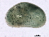  ( - SCCWRP0323118)  @11 [ ] CreativeCommons - Attribution (2012) CBG Photography Group Centre for Biodiversity Genomics