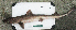  ( - GE-12)  @11 [ ] No Rights Reserved  Unspecified Unspecified