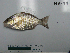  ( - NH-74)  @14 [ ] No Rights Reserved  Unspecified Unspecified