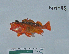  ( - NH-88)  @11 [ ] No Rights Reserved  Unspecified Unspecified