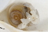  ( - 09PROBE-02228)  @13 [ ] CreativeCommons - Attribution (2009) Unspecified Centre for Biodiversity Genomics