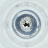  ( - MOZZ00000839A_F5)  @11 [ ] by (2004) Genome Research Ltd as Wellcome Sanger Institute Genome Research Limited operating as Wellcome Sanger Institute