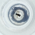  ( - MOZZ00000840A_A9)  @11 [ ] by (2004) Genome Research Ltd as Wellcome Sanger Institute Genome Research Limited operating as Wellcome Sanger Institute