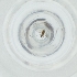  ( - MOZZ00000840A_F10)  @11 [ ] by (2004) Genome Research Ltd as Wellcome Sanger Institute Genome Research Limited operating as Wellcome Sanger Institute