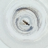  ( - MOZZ00000840A_G11)  @11 [ ] by (2004) Genome Research Ltd as Wellcome Sanger Institute Genome Research Limited operating as Wellcome Sanger Institute