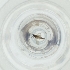  ( - MOZZ00000841A_C2)  @11 [ ] by (2004) Genome Research Ltd as Wellcome Sanger Institute Genome Research Limited operating as Wellcome Sanger Institute