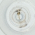  ( - MOZZ00000841A_H9)  @11 [ ] by (2004) Genome Research Ltd as Wellcome Sanger Institute Genome Research Limited operating as Wellcome Sanger Institute
