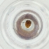  ( - MOZZ00000843A_C2)  @11 [ ] by (2004) Genome Research Ltd as Wellcome Sanger Institute Genome Research Limited operating as Wellcome Sanger Institute