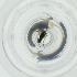  ( - MOZZ00000843A_D6)  @11 [ ] by (2004) Genome Research Ltd as Wellcome Sanger Institute Genome Research Limited operating as Wellcome Sanger Institute