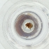  ( - MOZZ00000843A_G2)  @11 [ ] by (2004) Genome Research Ltd as Wellcome Sanger Institute Genome Research Limited operating as Wellcome Sanger Institute
