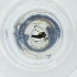  ( - MOZZ00000851A_B8)  @11 [ ] by (2004) Genome Research Ltd as Wellcome Sanger Institute Genome Research Limited operating as Wellcome Sanger Institute