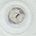  ( - MOZZ00000863A_C1)  @11 [ ] by (2004) Genome Research Ltd as Wellcome Sanger Institute Genome Research Limited operating as Wellcome Sanger Institute