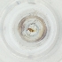  ( - MOZZ00000864A_A5)  @11 [ ] by (2004) Genome Research Ltd as Wellcome Sanger Institute Genome Research Limited operating as Wellcome Sanger Institute