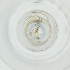  ( - MOZZ00000864A_G10)  @11 [ ] by (2004) Genome Research Ltd as Wellcome Sanger Institute Genome Research Limited operating as Wellcome Sanger Institute