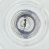  ( - MOZZ00000864A_G5)  @11 [ ] by (2004) Genome Research Ltd as Wellcome Sanger Institute Genome Research Limited operating as Wellcome Sanger Institute